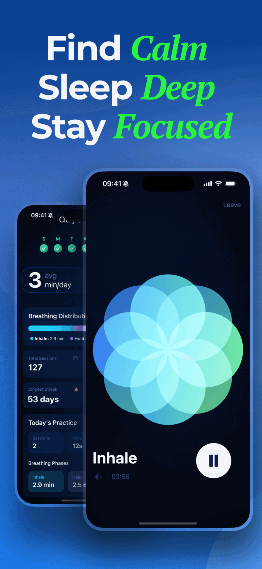 Guided breathing session with beautiful flower animation and inhale phase indicator